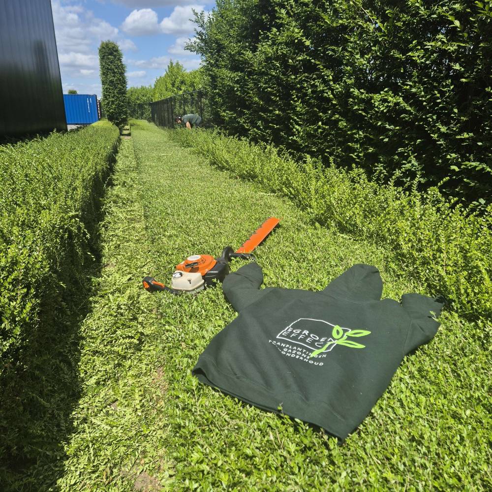 A Het Groen Effect Hoodie laying next to a trimming machine on top of a trimmed Hedge