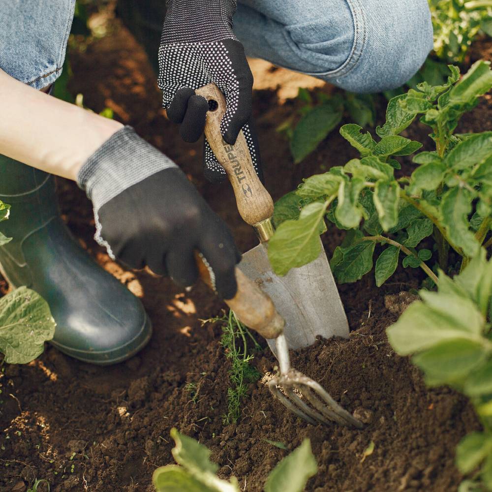 A person planting plantings